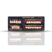 دندان مصنوعی Apple رنگ A3 - ابزار پروتز - تجهیزات دندانپزشکی دنت اسمایل - مواد پروتز و قالبگیری دندان