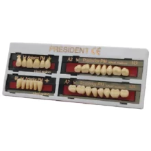 دندان مصنوعی president رنگ A1 - خرید و قیمت ابزار دندانپزشکی - ابزار پروتز - فروشگاه تجهیزات دندانپزشکی دنت اسمایل